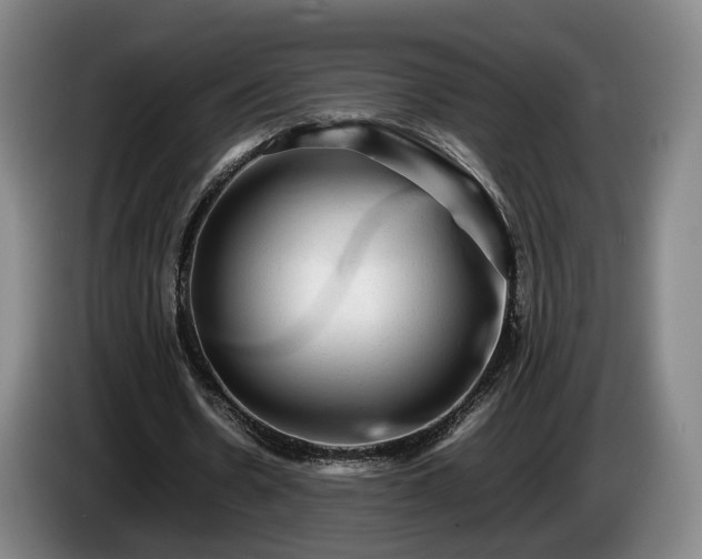 X0000085070530200703121644