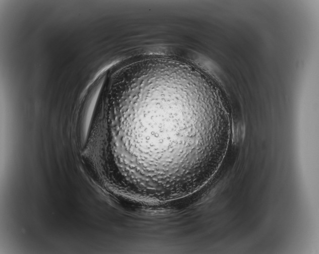 X0000085070531200703121644