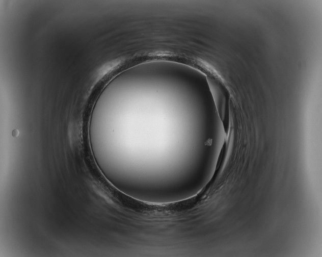 X0000085070535200703121644