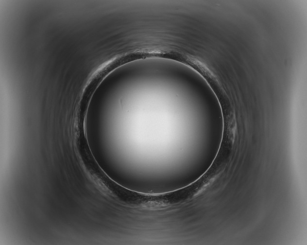 X0000085070536200703121644