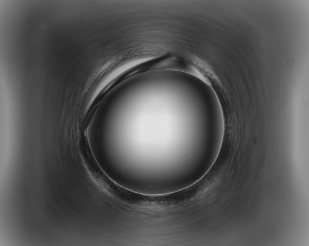 X0000085070538200703121644