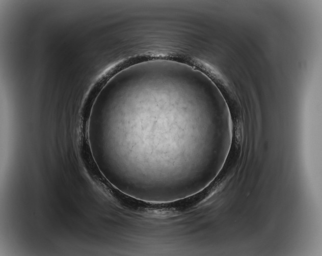 X0000085070540200703121644