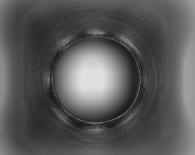 X0000085070541200703121644