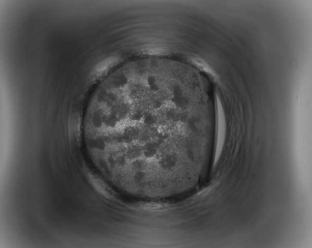 X0000085070542200703121644