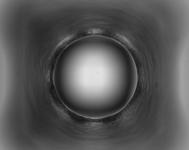 X0000085070543200703121644