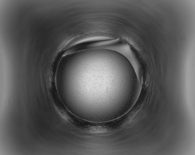 X0000085070544200703121644