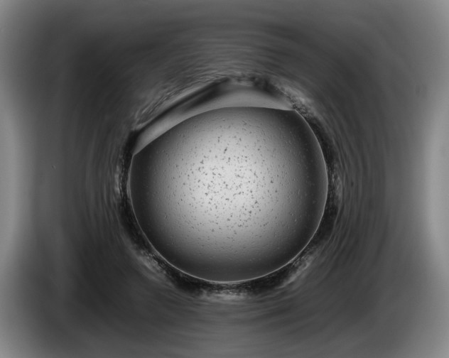 X0000085070546200703121644