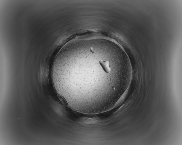 X0000085070548200703121644