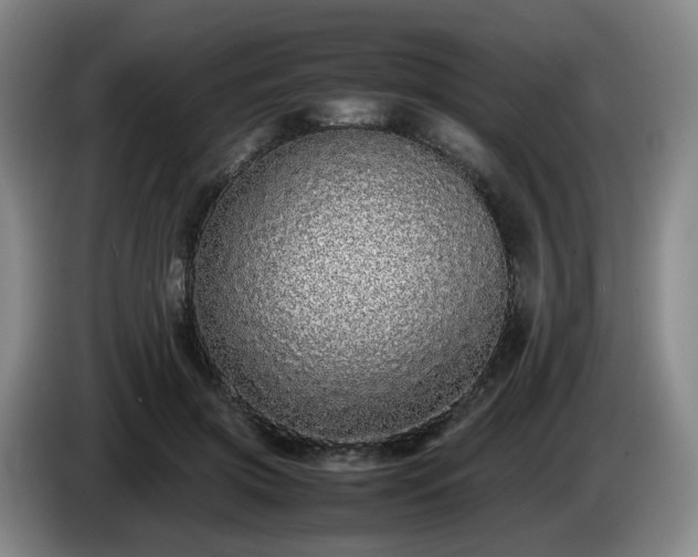 X0000085070549200703121644