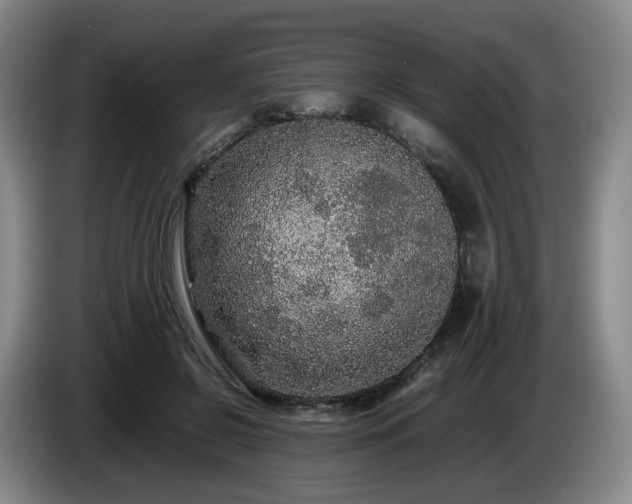 X0000085070550200703121644