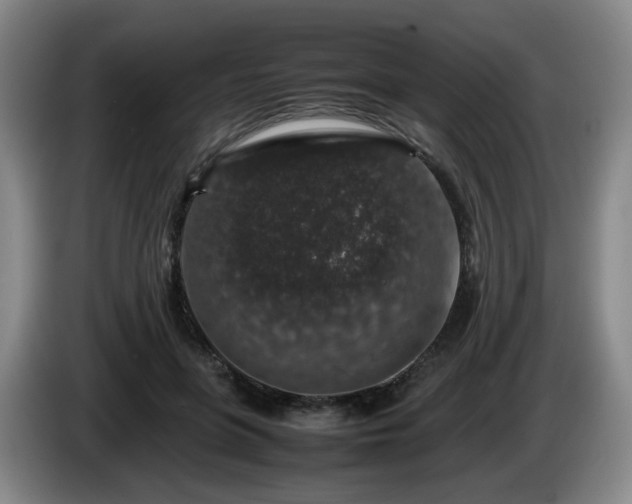 X0000085070551200703121644