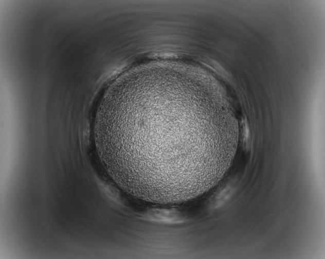 X0000085070552200703121644