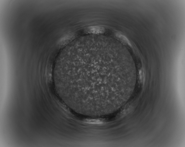 X0000085070553200703121644