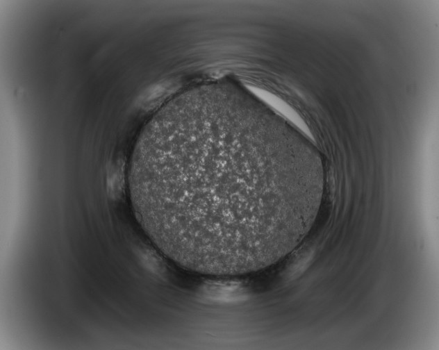 X0000085070554200703121644