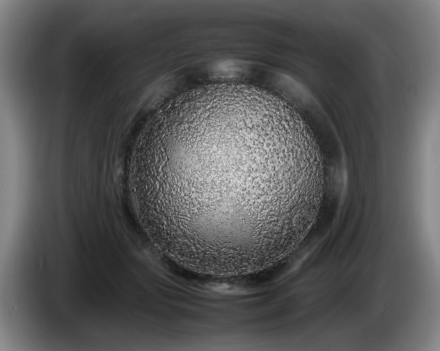 X0000085070557200703121644