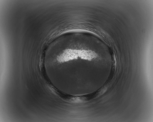 X0000085070558200703121644