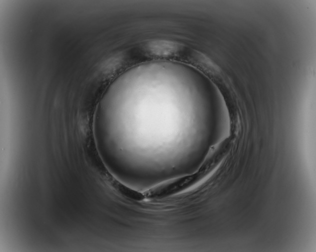 X0000085070559200703121644