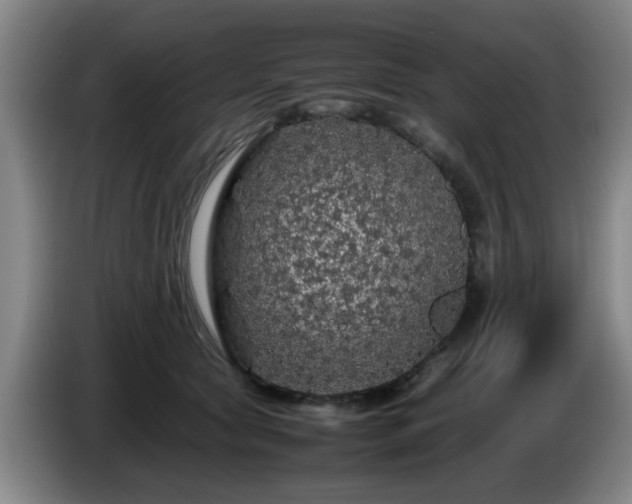 X0000085070561200703121644