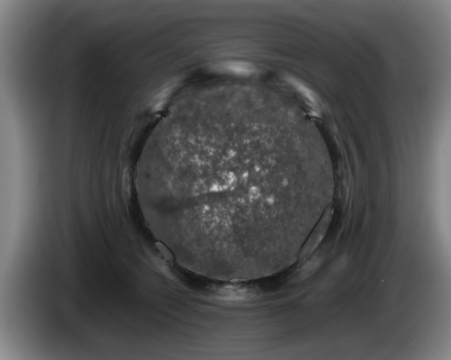 X0000085070562200703121644