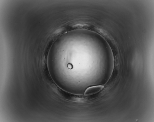 X0000085070563200703121644