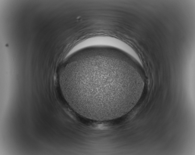 X0000085070564200703121644