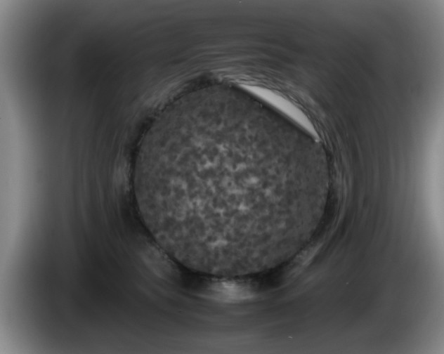 X0000085070565200703121644