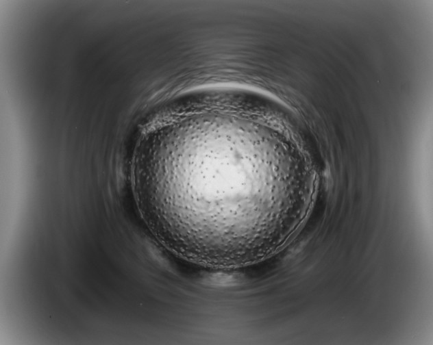 X0000085070566200703121644