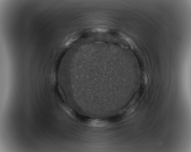 X0000085070568200703121644