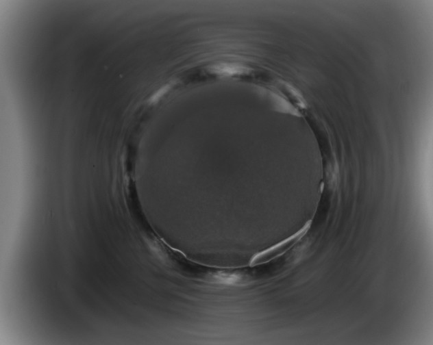 X0000085070570200703121644