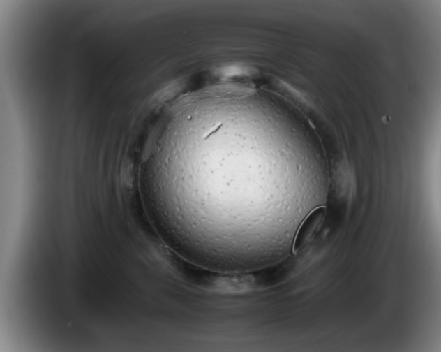 X0000085070571200703121644