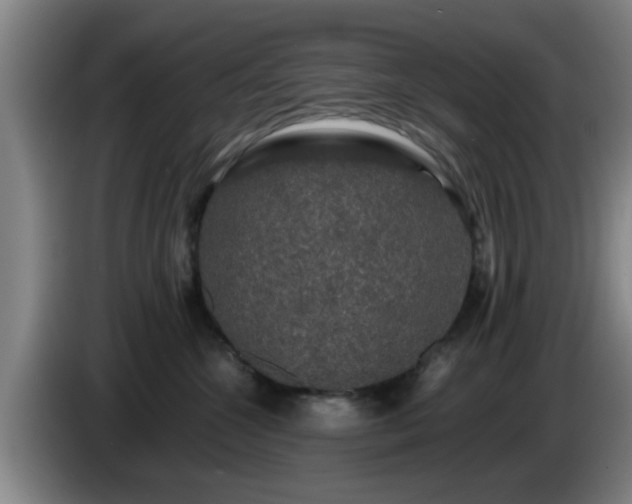 X0000085070572200703121644