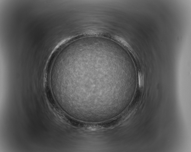 X0000085070579200703121644