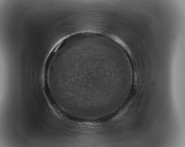 X0000085070580200703121644