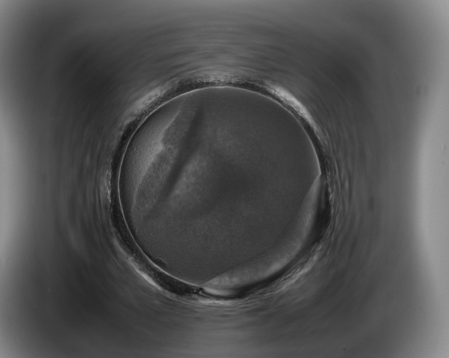 X0000085070581200703121644