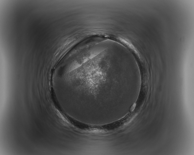 X0000085070585200703121644