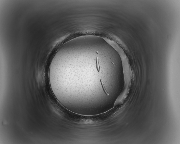 X0000085070588200703121643