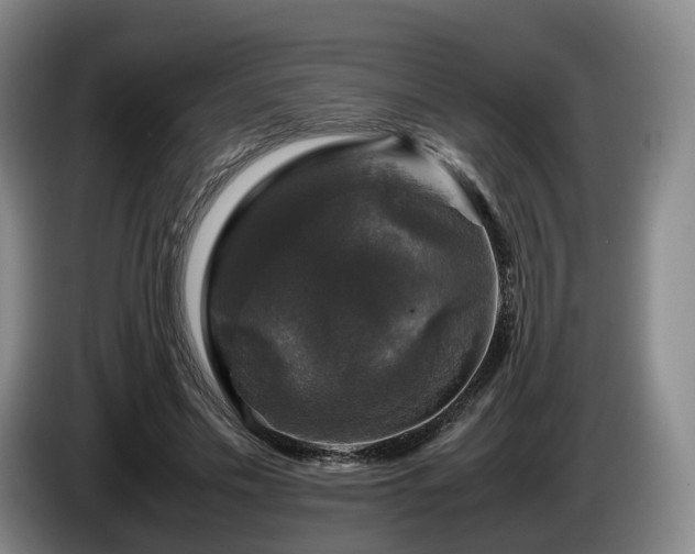 X0000085070589200703121643