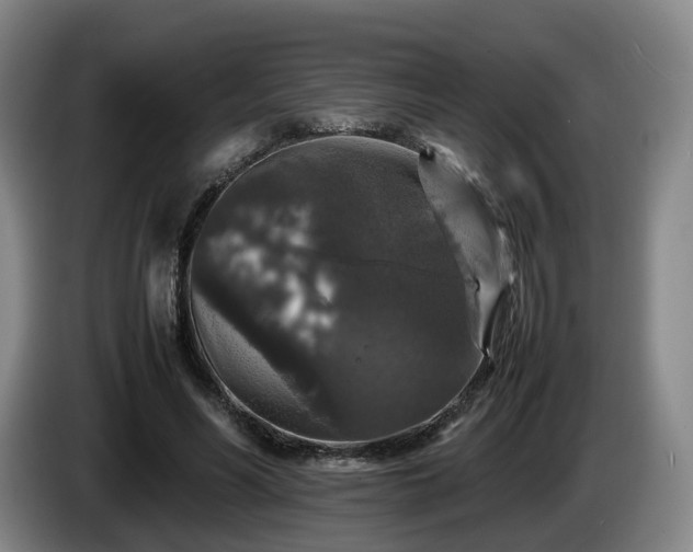 X0000085070590200703121643