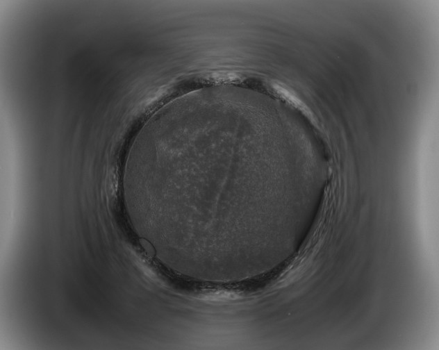 X0000085070593200703121643