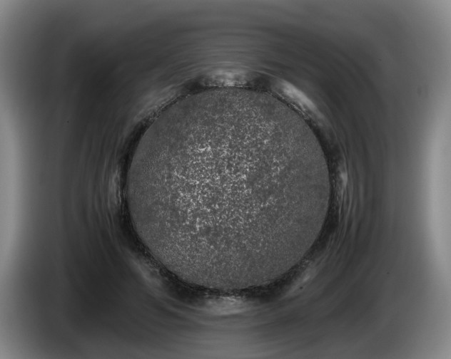 X0000085070594200703121643