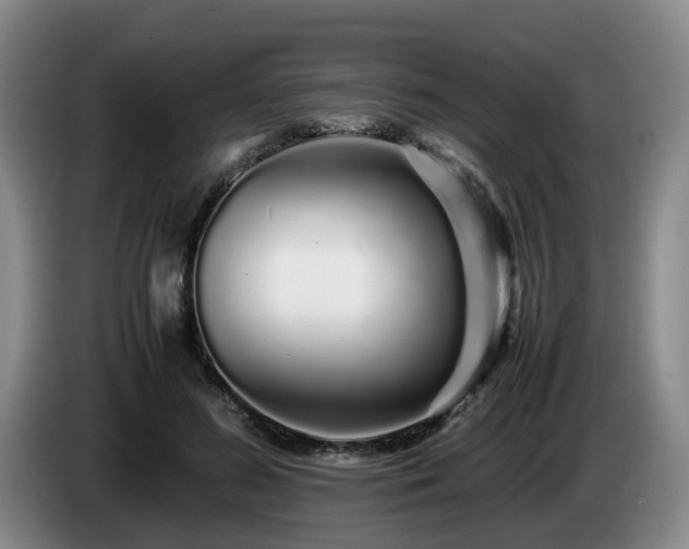 X0000085070596200703121643