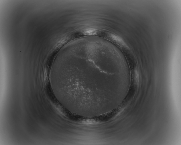 X0000085070598200703121643