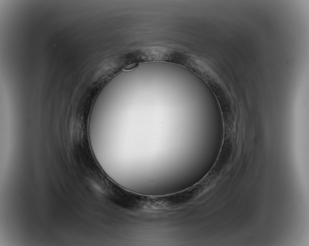 X0000085070599200703121643