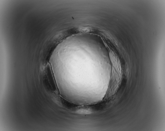 X0000085070601200703121643