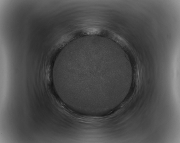 X0000085070604200703121643