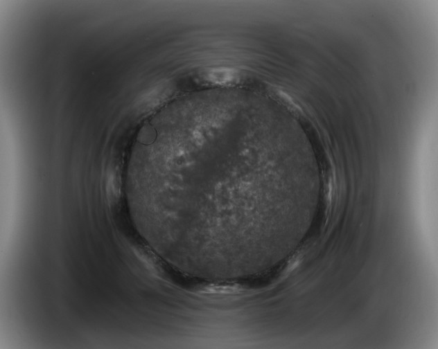 X0000085070606200703121643