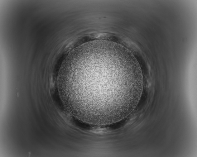 X0000085070607200703121643