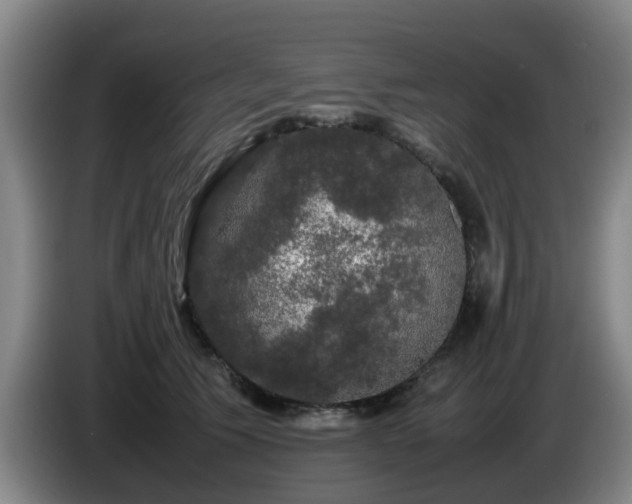 X0000085070609200703121643