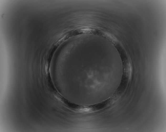 X0000085070610200703121643