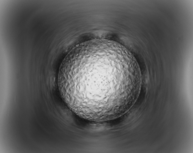 X0000085070615200703121643